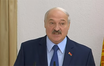Экономист: От «модели» Лукашенко остались рожки да ножки