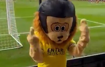 В Англии талисман футбольного клуба вышел развлекать зрителей пьяным