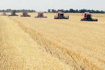 Технология мониторинга состояния сельхозкультур и прогноза их урожайности разработана в Беларуси