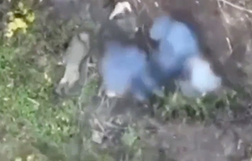 Украинский дрон сбросил боеприпас прямо на группу оккупантов