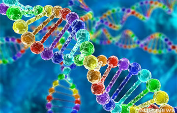 Как гены влияют на нашу жизнь