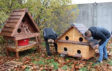 В Барановичах установили домики, где могут погреться бездомные коты