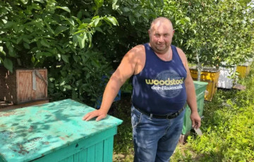 К пчеловоду из Смолевичского района пчелиные рои сами летят прямо в ульи