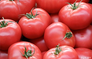 В России уничтожили почти четыре тонны ввезенных из Беларуси томатов