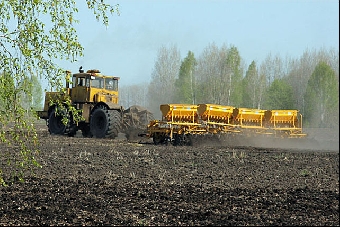 Сельхозорганизации Беларуси перевыполняют план по севу кукурузы на зерно