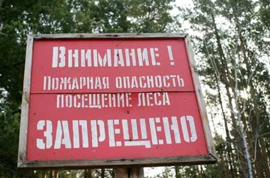 В Беларуси введен запрет на посещение лесов в 28 районах