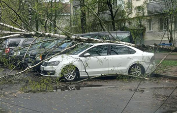 В Минске стихия останавливала транспорт