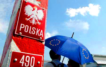Нелегальные мигранты с тепловизорами пытались попасть через Беларусь в Польшу