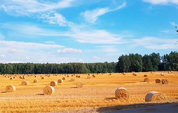 В Беларуси будет еще жарче