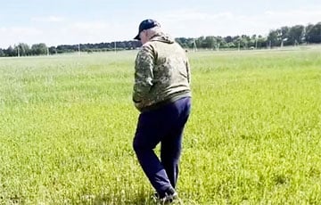 Лукашенко не сможет усидеть на двух стульях