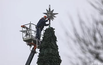 В Беларуси начали устанавливать новогодние елки