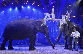Белгосцирк впервые примет участие в международном цирковом фестивале в Монте-Карло