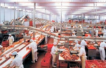 В Минске остановили работу двух предприятий по переработке мяса и рыбы