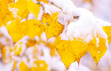 Фотофакт: На Нарочи выпал снег