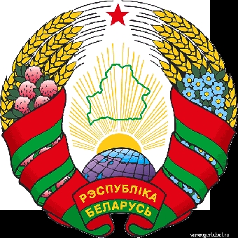Брестчане проголосовали за роспуск совета «депутатов» (Фото)