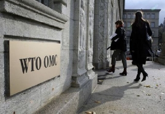 Условия ВТО в полную силу заработают в ЕЭП с 1 сентября - Гурьянов
