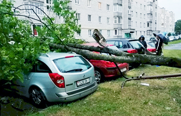 Непогода в Беларуси: ветер валит деревья и срывает крыши