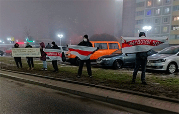 Красный Бор приурочил свою акцию протеста ко дню рождения Павла Северинца