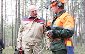 «Читаю и падаю со стула от смеха»