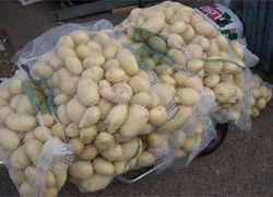Беларусь запретила импорт картошки