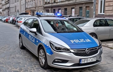 В Польше задержали участников схемы ввоза фанеры из Беларуси и РФ