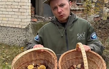 Беларус проверил на радиацию грибы из Гомельской области