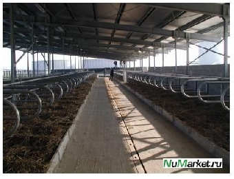 Правительство Беларуси намерено объявить тендер на поставки оборудования для молочно-товарных ферм
