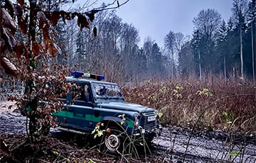 Польские пограничники сообщили об очередных провокациях на границе с Беларусью