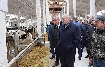 Лукашенко добивает сельское хозяйство