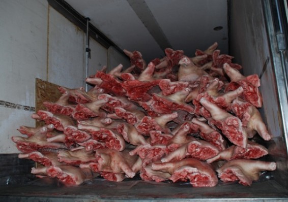 Беларусь ограничила ввоз свинины из Болгарии и Словакии