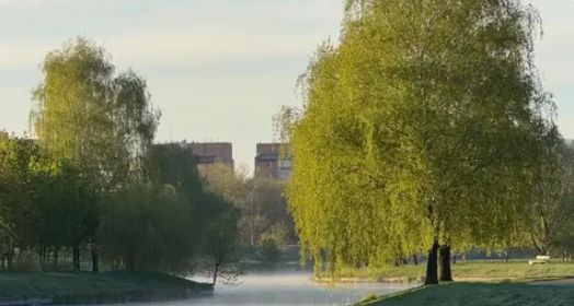 Погода в Беларуси после +27°C резко изменится