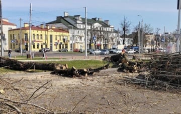 «Зеленый город превращают в пустыню»