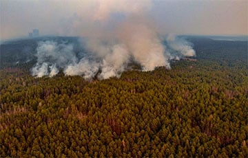 На юге Беларуси начались масштабные пожары