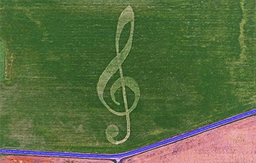 На поле под Копылем появился рисунок скрипичного ключа