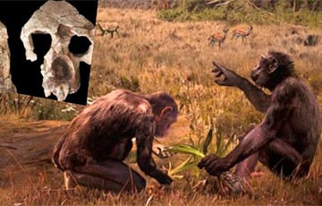 Ученые: Предок человека появился не в Африке