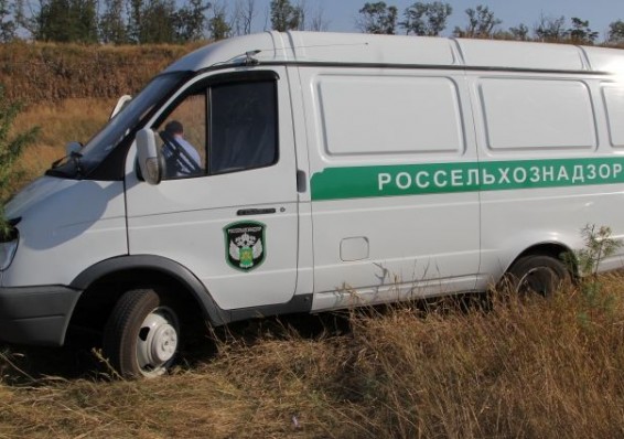 Специалисты Россельхознадзора начали вторую инспекцию белорусских предприятий