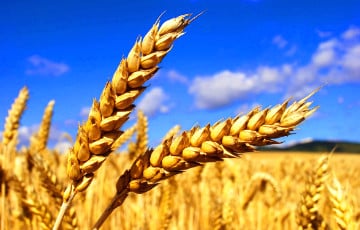 США предостерегли страны Африки от покупки украинского зерна у Московии