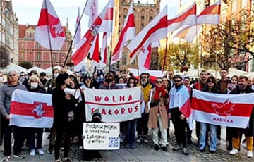 Готовых к забастовке белорусов поддерживает весь мир