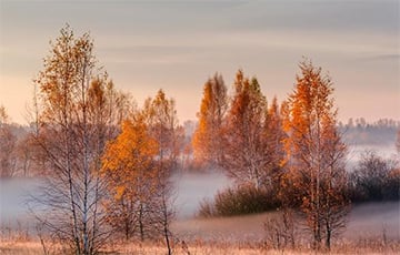 Синоптики обещают беларусам гололед