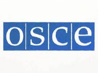 ПА ОБСЕ служит площадкой для обмена мнениями между европейскими странами - Рубинов