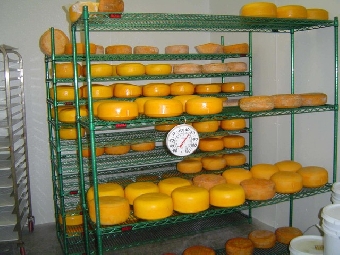 Новая линия по производству твердых сыров введена в строй на Осиповичском молочном комбинате