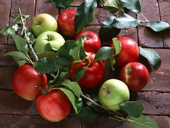 Мясникович поручил качественно провести заготовку и переработку яблок урожая 2012 года