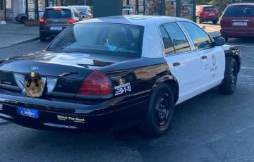 В Минске заметили культовый американский полицейский седан Crown Victoria