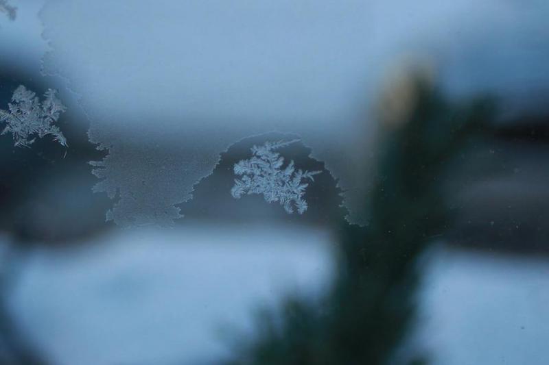 Фотофакт: «Погоня» на замерзшем окне