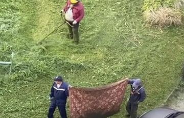 «Ведут себя по-человечески»: в Могилеве оригинально косят траву