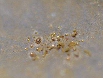 Появились бактерии, производящие золото