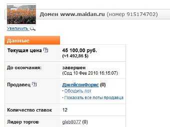 Домен maidan.ru продали за 45 тысяч рублей