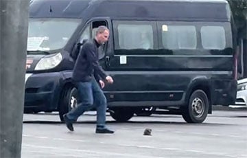 В Бресте водители создали пробку на оживленном проспекте, чтобы спасти котенка