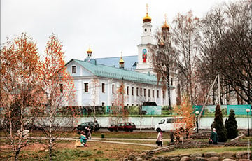 Дачник из-под Толочина оказался настоящим Шерлоком Холмсом