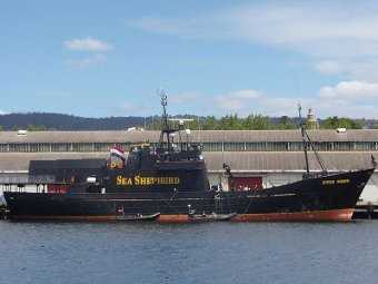 Австралийская полиция обыскала судно защитников китов